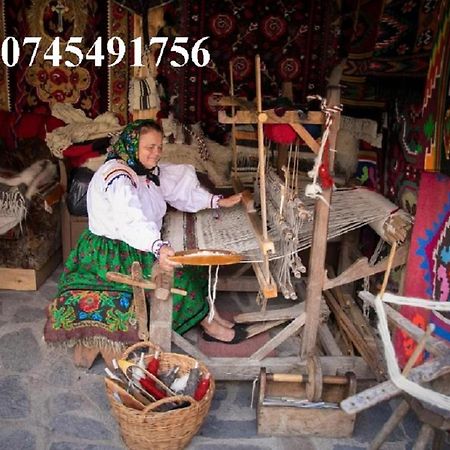 فندق Ileana Sapanta المظهر الخارجي الصورة